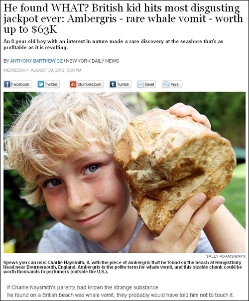 영화 모비딕의 주인공, 향유고래 | 인스티즈