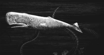 영화 모비딕의 주인공, 향유고래 | 인스티즈