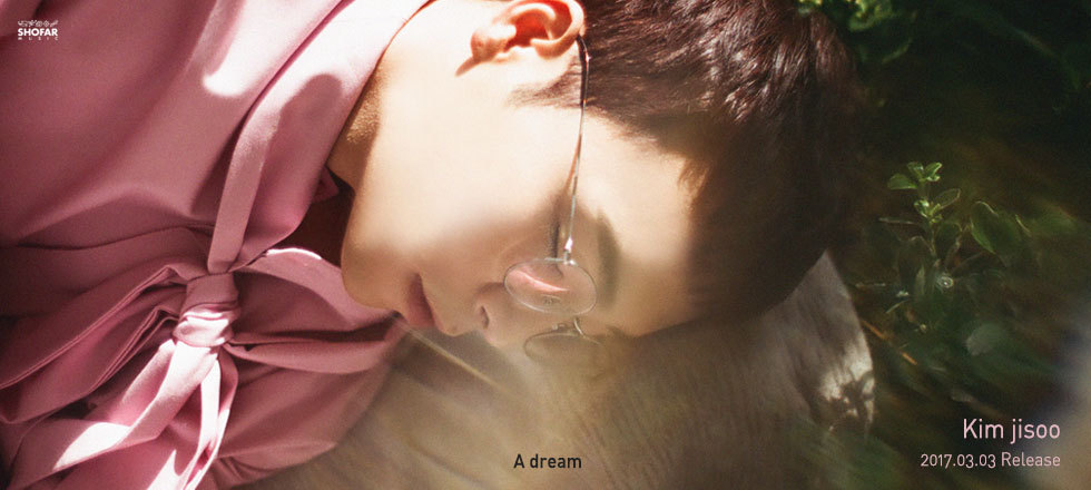 Kim Ji Soo(김지수) - Dream All Day | 인스티즈