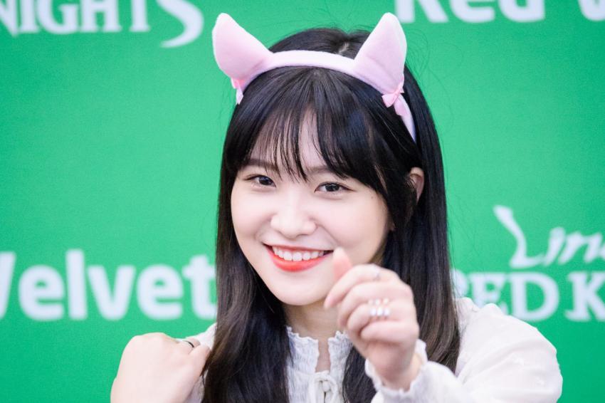 미리하는 예리 생파(Feat.레드벨벳 인스타그램) | 인스티즈