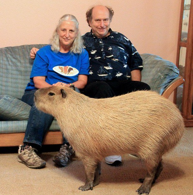 친화력 최고의 甲 동물 | 인스티즈