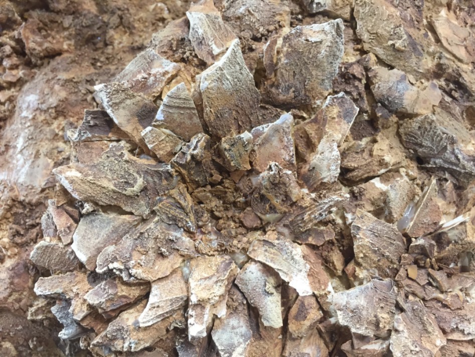 여친 빼고 다 만드는 루리웹러(드래곤볼 디오라마 제작과정).jpg | 인스티즈