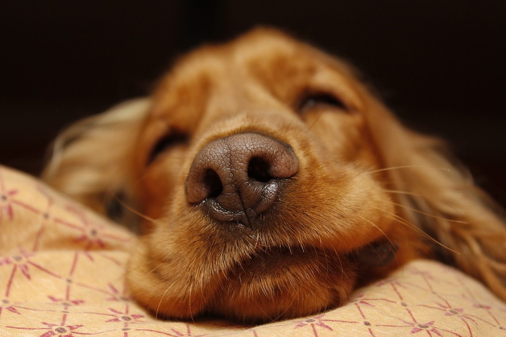 잠깐 나른해지고 싶다.jpg | 인스티즈