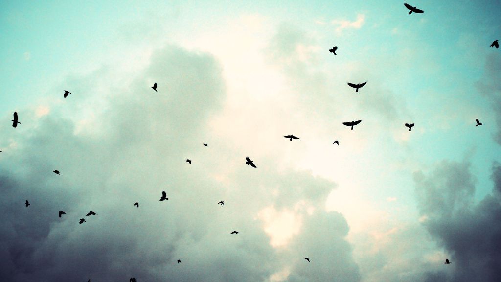 잠깐 나른해지고 싶다.jpg | 인스티즈