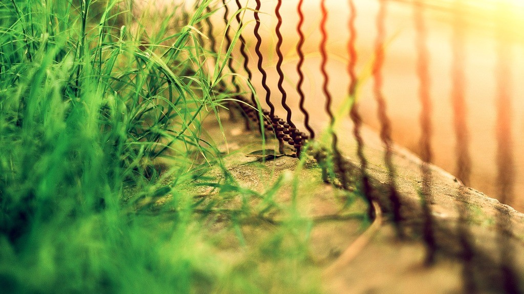 잠깐 나른해지고 싶다.jpg | 인스티즈