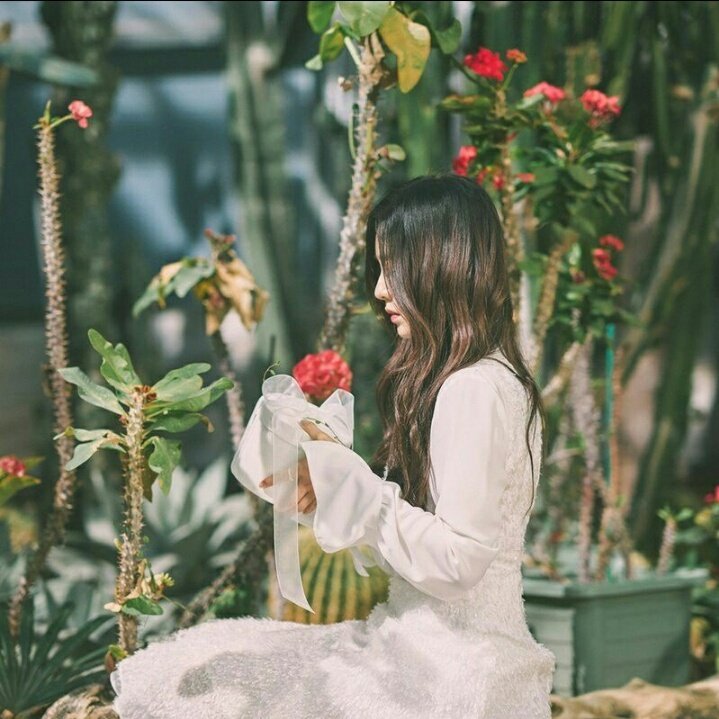 레드벨벳 - Would U | 인스티즈