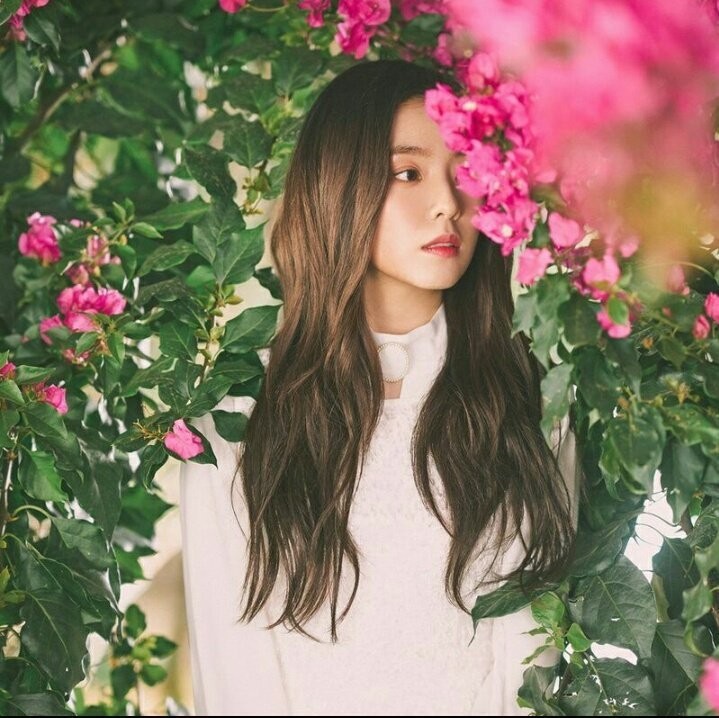 레드벨벳 - Would U | 인스티즈