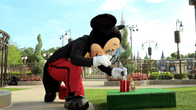 디즈니랜드에 놀러간 햄스터 | 인스티즈