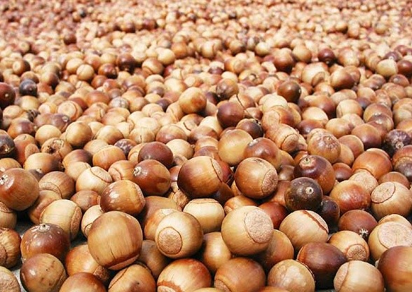 싸이월드 추억팔이ㅋㅋㅋㅋㅋㅋㅋ | 인스티즈