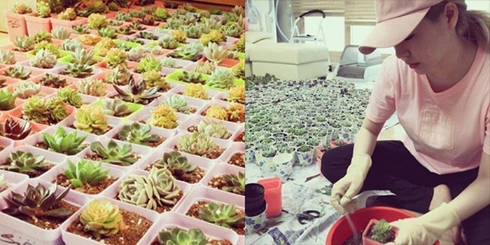 [소녀시대] 남다른 팬 사랑이 느껴지는 써니의 역조공 | 인스티즈