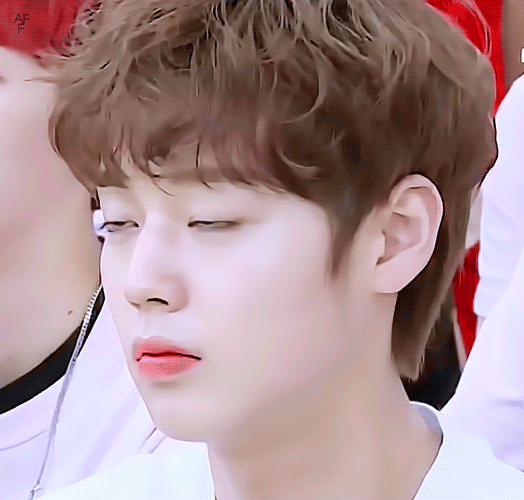 [프로듀스101/박지훈] 철벽남 박지훈 02 | 인스티즈