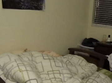 디시 헬스갤 일반인 최강자 ㄷㄷㄷ. gif | 인스티즈