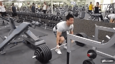 디시 헬스갤 일반인 최강자 ㄷㄷㄷ. gif | 인스티즈