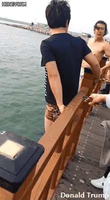 화성 궁평항 바다에 빠진 강아지 구하러 물에 뛰어든 사람들 | 인스티즈