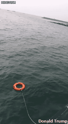 화성 궁평항 바다에 빠진 강아지 구하러 물에 뛰어든 사람들 | 인스티즈