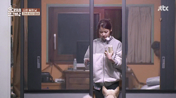 구아나한테 애교부리는 아이유.swf | 인스티즈