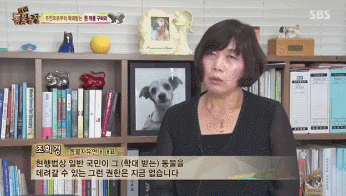 옆집 남자가 밤마다 강아지를 때리는 것 같아요 근데..gif | 인스티즈