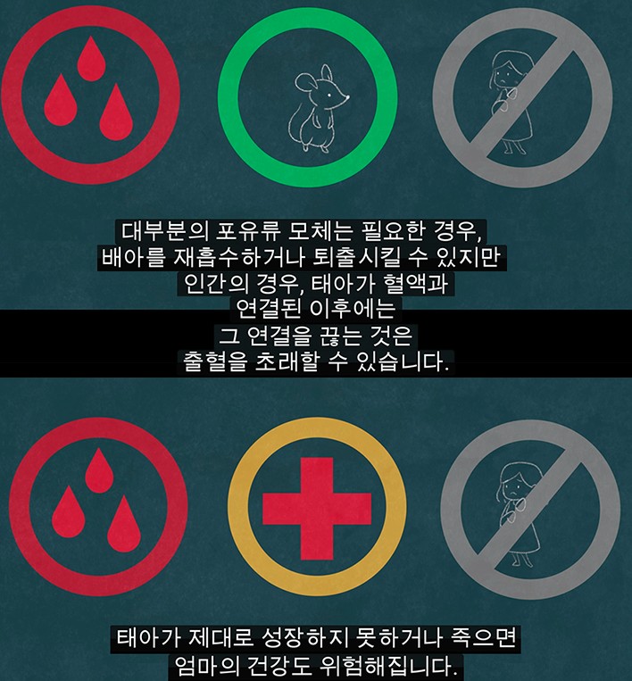 학교에서 생리에 대해 가르치는 건 처음부터 틀려먹었다 | 인스티즈