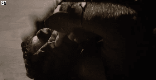 역대급이란 평가받은 왕좌의 게임 중 격투씬 | 인스티즈