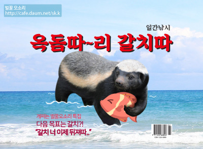 곧 방송하는 영상미 미친 다큐 | 인스티즈