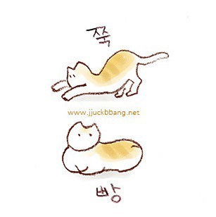 한국말 하는 고양이들ㅋㅋㅋㅋ | 인스티즈