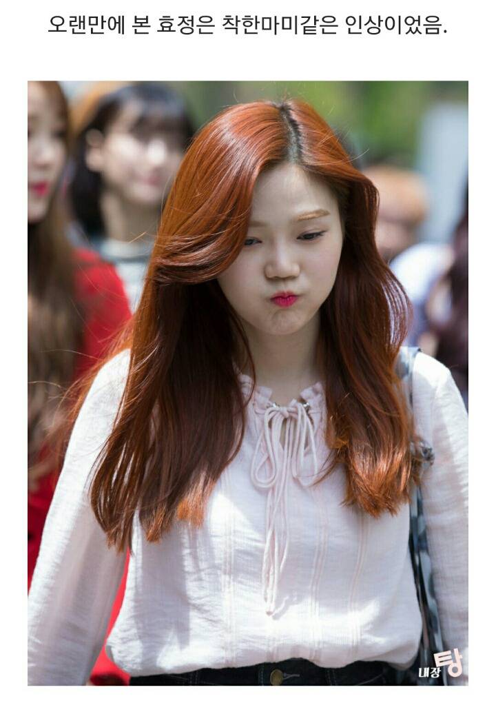 아이돌 찍덕의 보정 없는 사진과 거침없는 평가 | 인스티즈