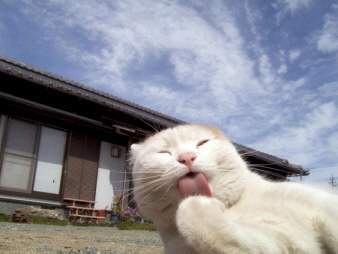 양아치 연기하다가 진짜 1진 언니 만남 | 인스티즈