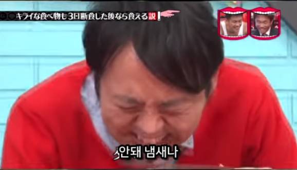 아무리 싫어하는 음식이라도 3일을 굶는다면 먹을수있다 검증ㅋㅋㅋ | 인스티즈