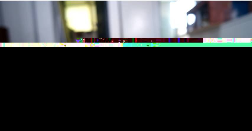 햄스터의 볼주머니 한계는 어디까지인가 | 인스티즈