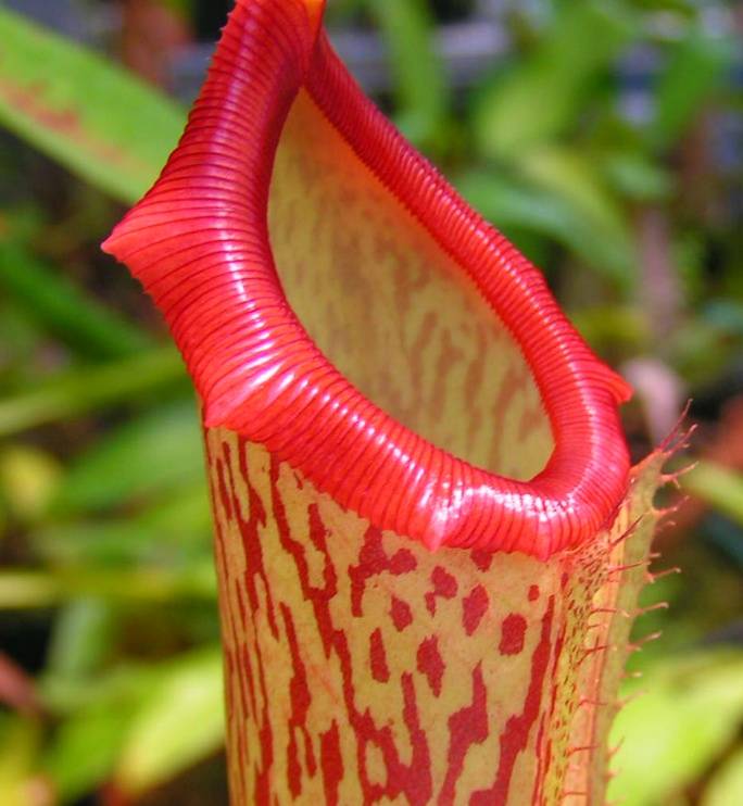 잃어버린 고대 기술 top10.jpg | 인스티즈