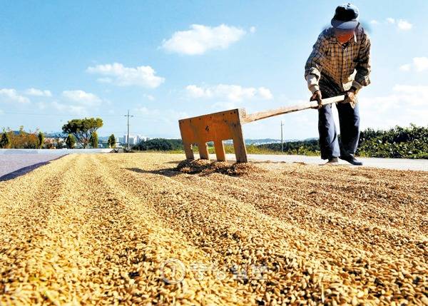 대농부(godfarmer) | 인스티즈