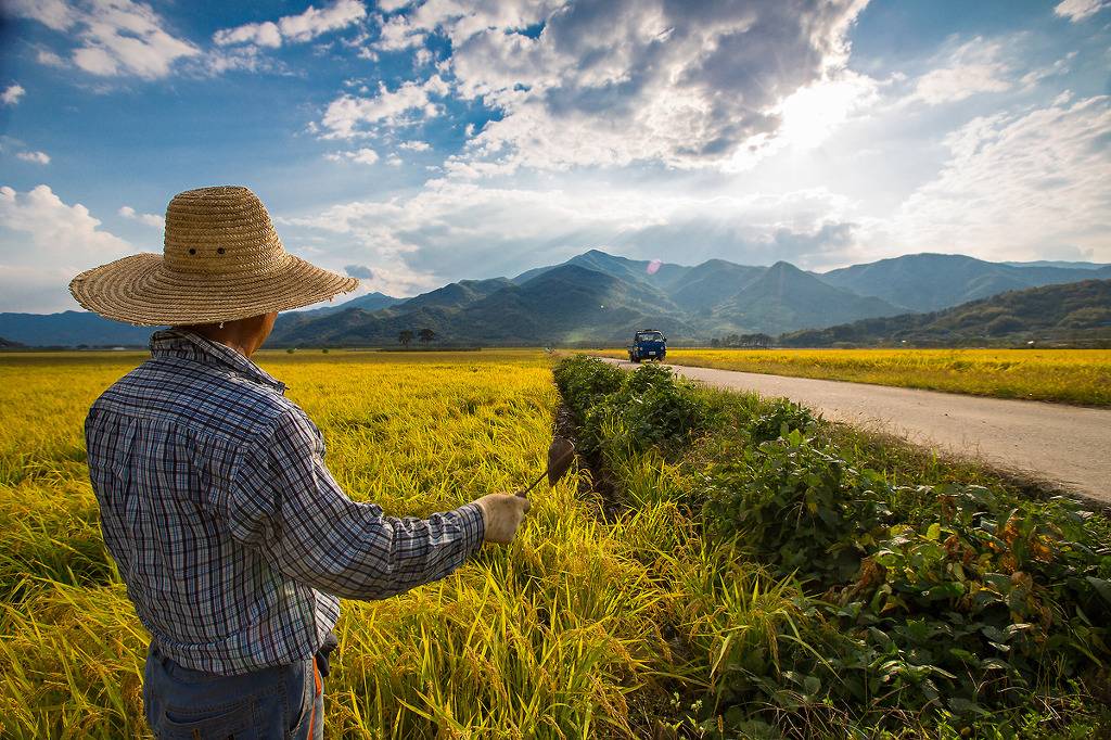 대농부(godfarmer) | 인스티즈