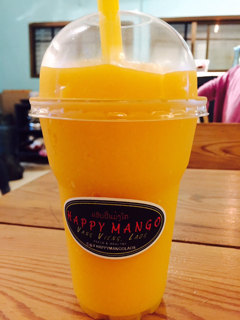 라오스 여행.jpg (feat.블루라군, 쪼꼬미 도마뱀) | 인스티즈