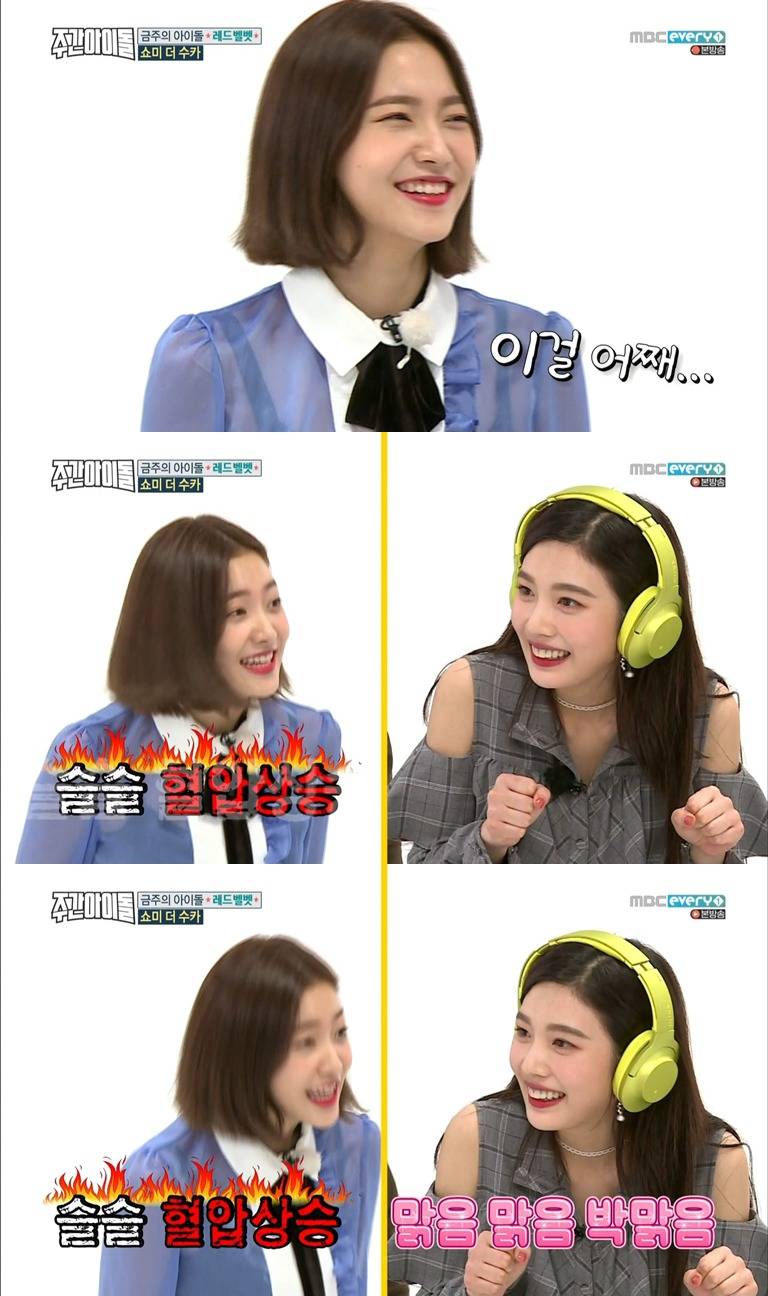 레드벨벳 처참한 의사소통 능력 수준.jpg | 인스티즈