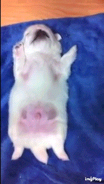 다리를 발발발발~ | 인스티즈