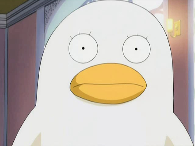 은혼 마스코트 사다하루 vs 엘리자베스 | 인스티즈