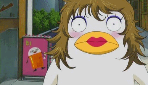 은혼 마스코트 사다하루 vs 엘리자베스 | 인스티즈