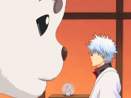 은혼 마스코트 사다하루 vs 엘리자베스 | 인스티즈