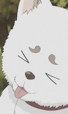 은혼 마스코트 사다하루 vs 엘리자베스 | 인스티즈