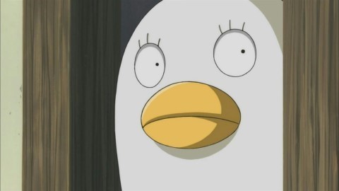 은혼 마스코트 사다하루 vs 엘리자베스 | 인스티즈