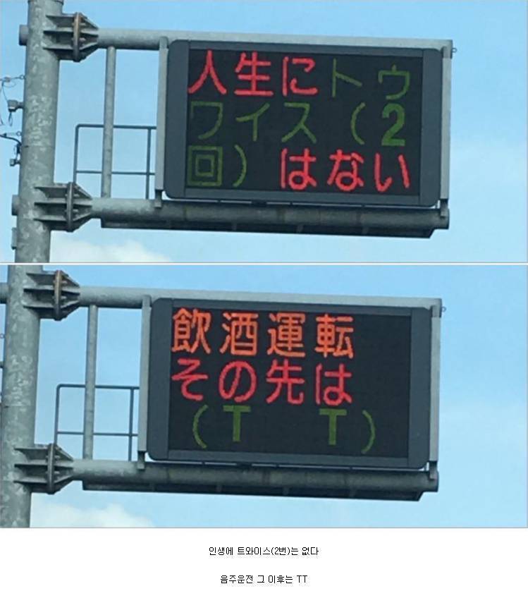 일본에서 사회현상 수준이라는 트와이스 TT | 인스티즈