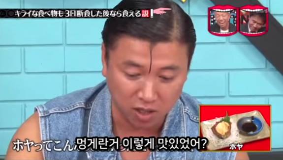 아무리 싫어하는 음식이라도 3일을 굶는다면 먹을수있다 검증ㅋㅋㅋ | 인스티즈