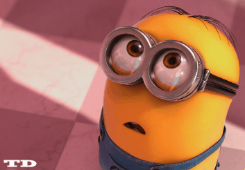 이제 보니 실제로 구경하는 거였음 | 인스티즈