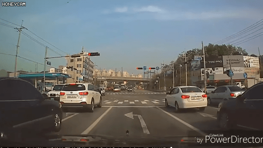 운전의 위험성 | 인스티즈