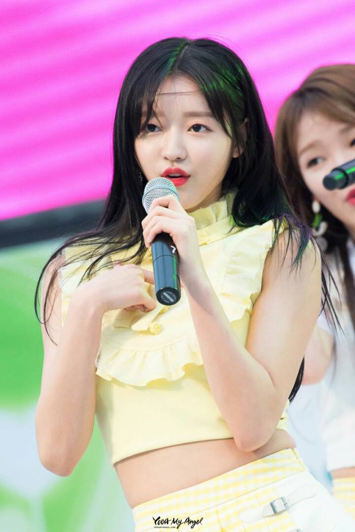 팬사인회에서 서로 참참참 하는 오마이걸 멤버들 | 인스티즈