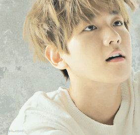 [변백현] 아가 반인반수, 도련님 | 인스티즈