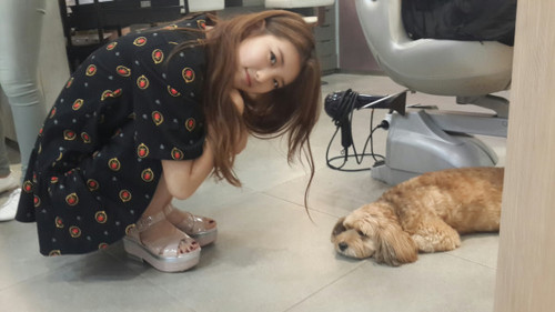 no 막내임에도 불구 멤버들한테 우쭈쭈 당하는 아이돌.bts | 인스티즈