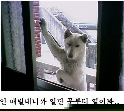 멜론 뮤직 어워드 수상자 실시간4 | 인스티즈