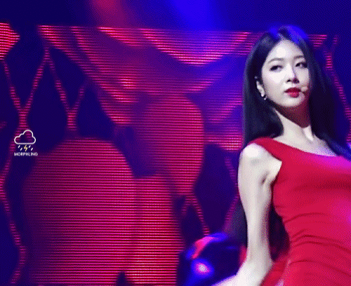 님들민하하세요 | 인스티즈