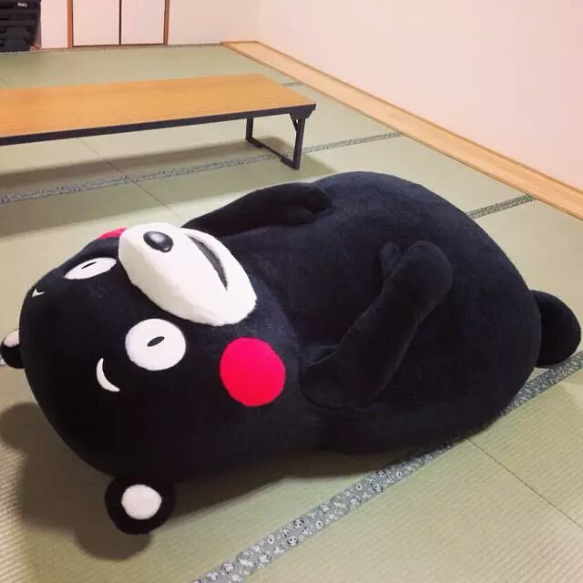 수학여행가는데 옷 코디 추천쭘,.. | 인스티즈